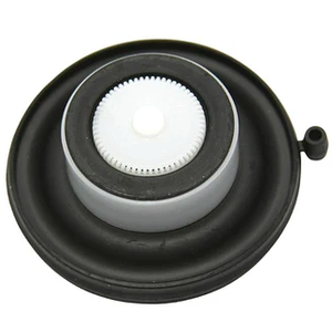 Repuesto Membrana Pgv1