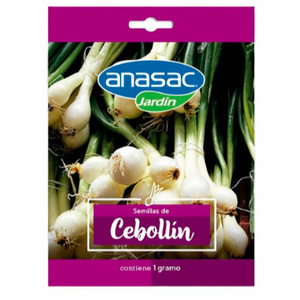 Semillas Cebollin 1gr