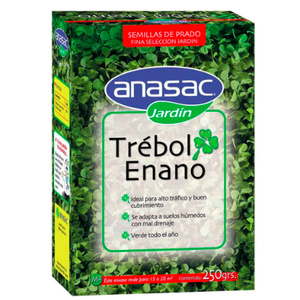 Trebol enano 250grs